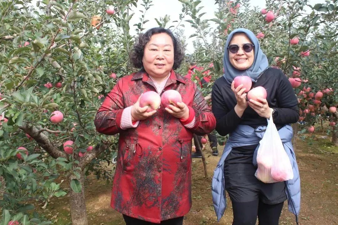 1688605836701910.jpg 640 (1).jpg