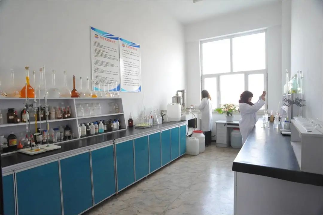 1702021346804195.jpg 640.jpg